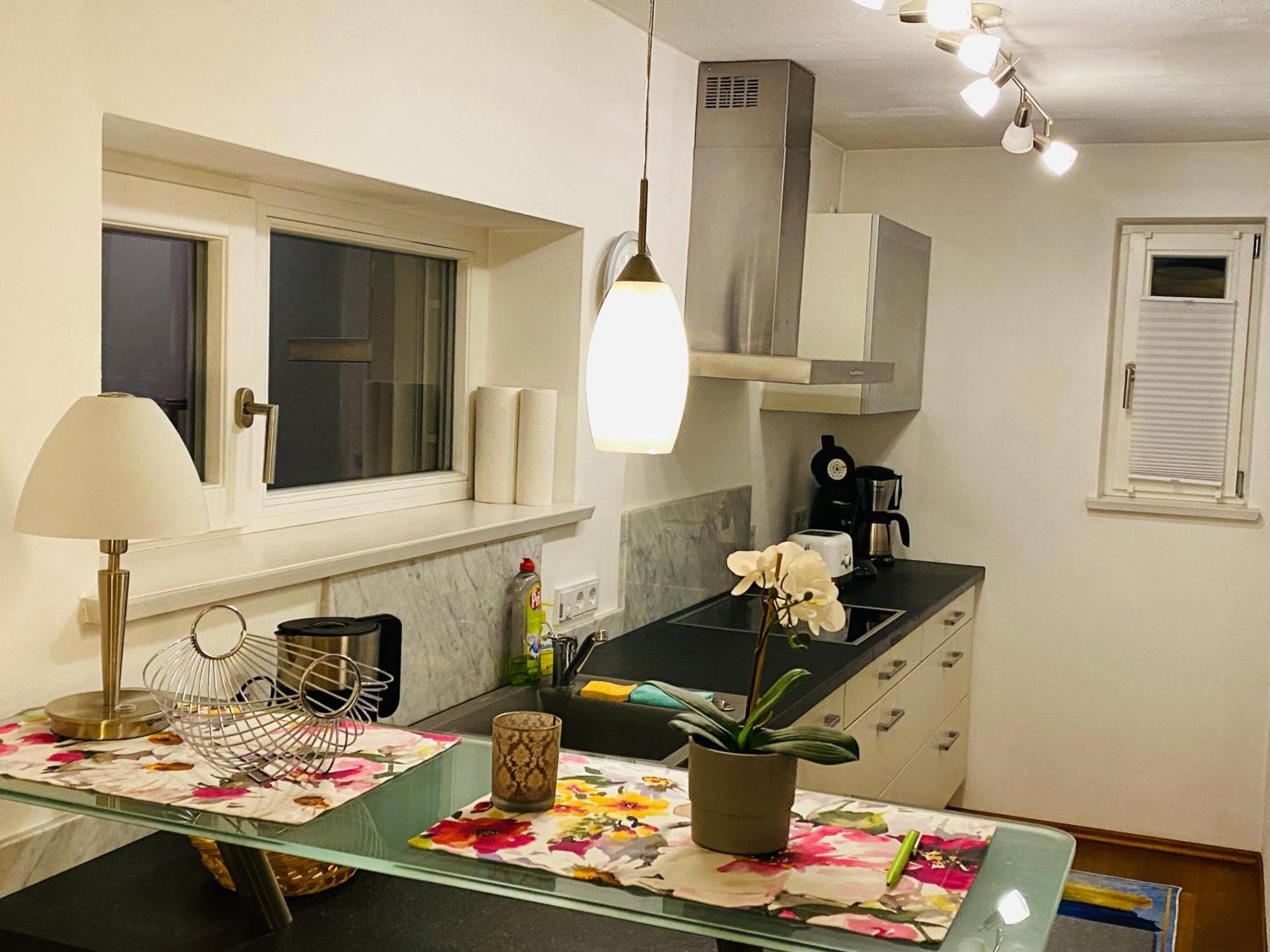 Luxus-Ferienhaus: Geräumige Wohnung mit Balkon und Garten nahe Regensburg Laaber Exterior photo